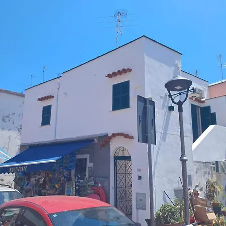 Cozy Blue House *